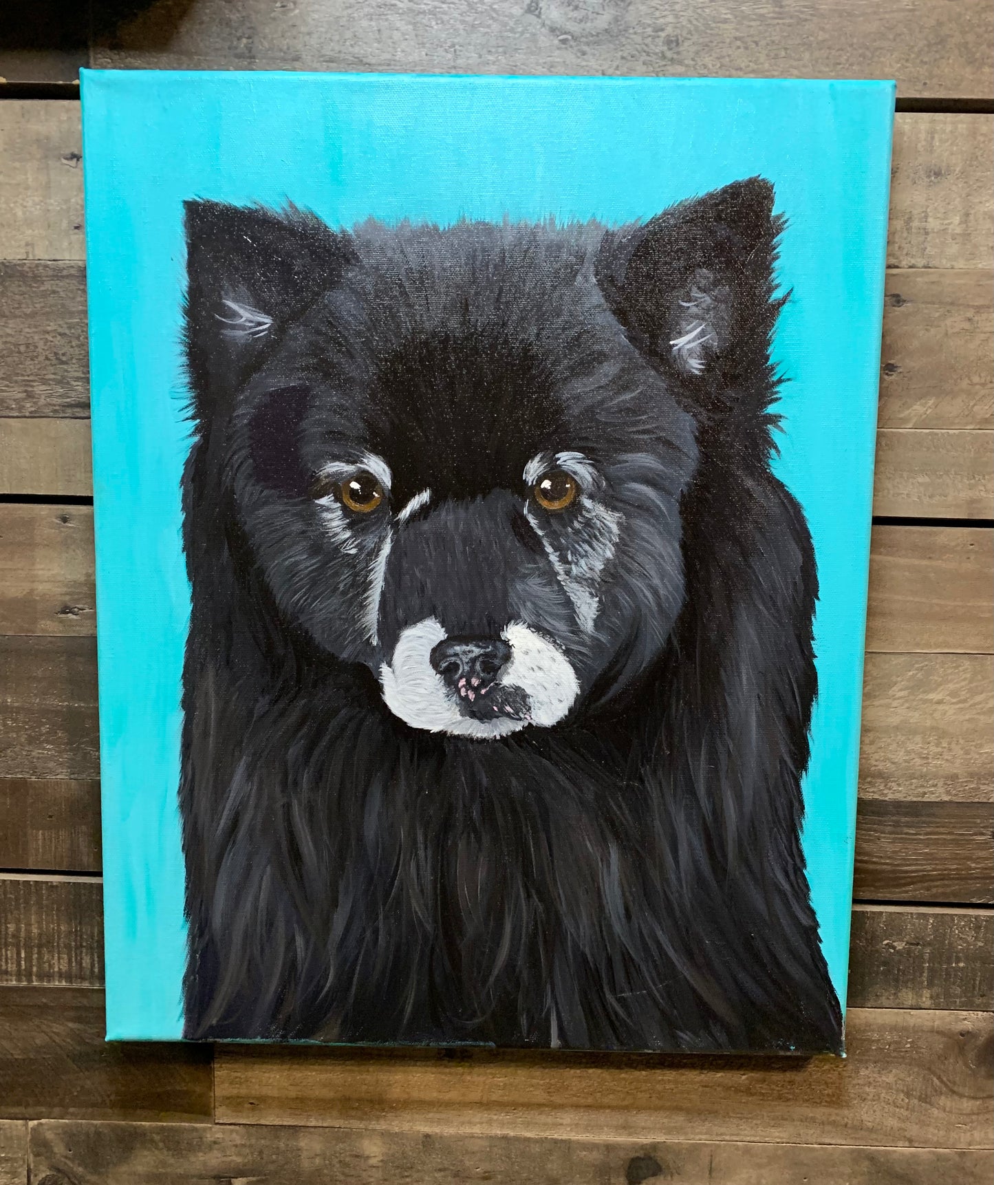 Pet Portraits