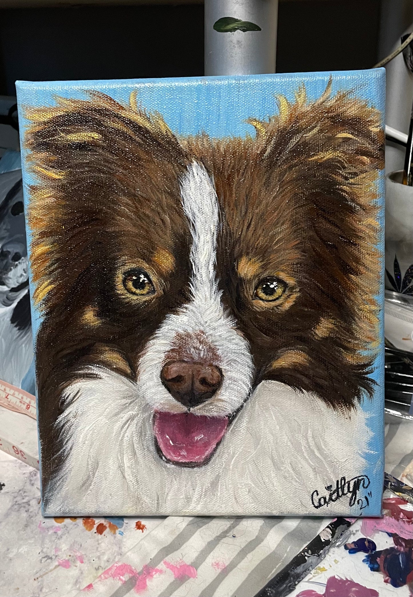 Pet Portraits