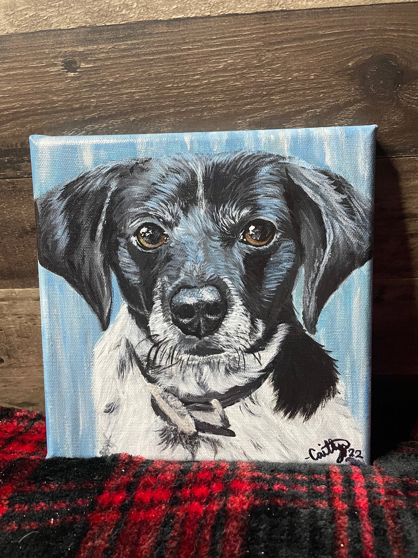 Pet Portraits