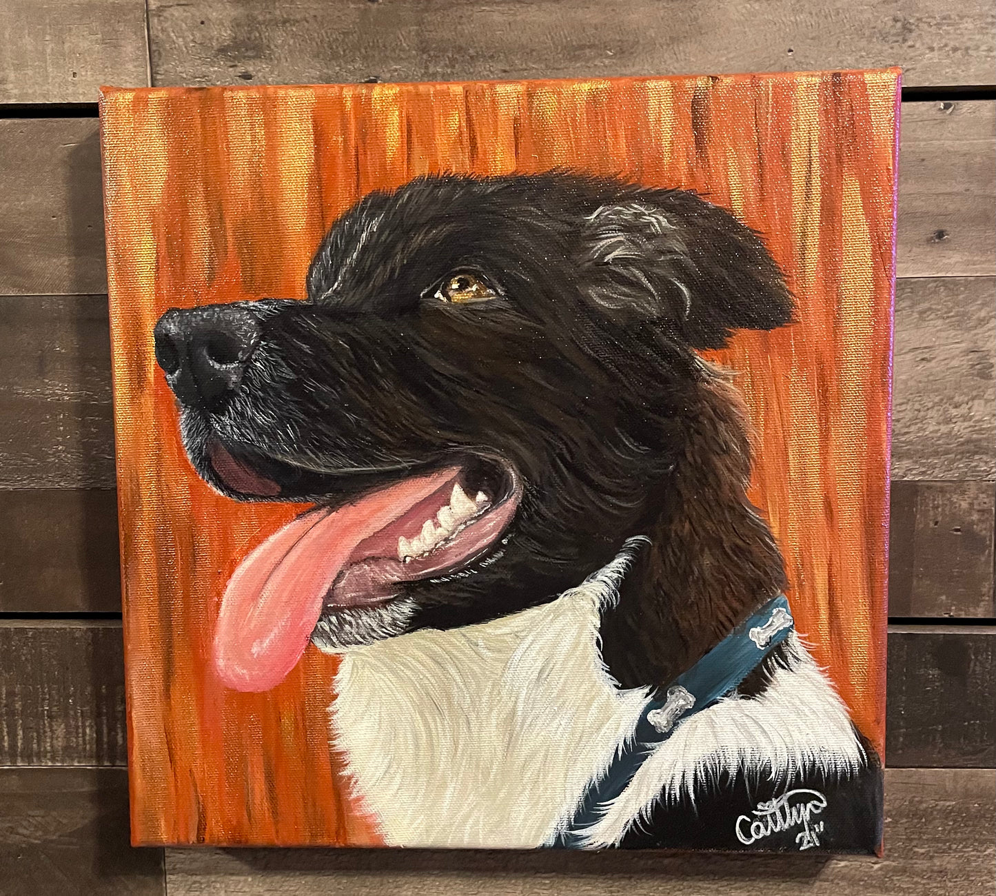 Pet Portraits