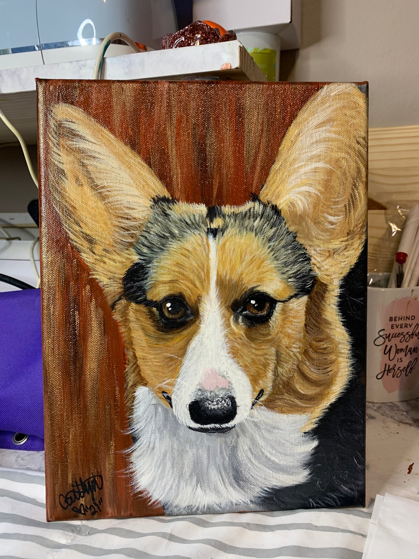 Pet Portraits